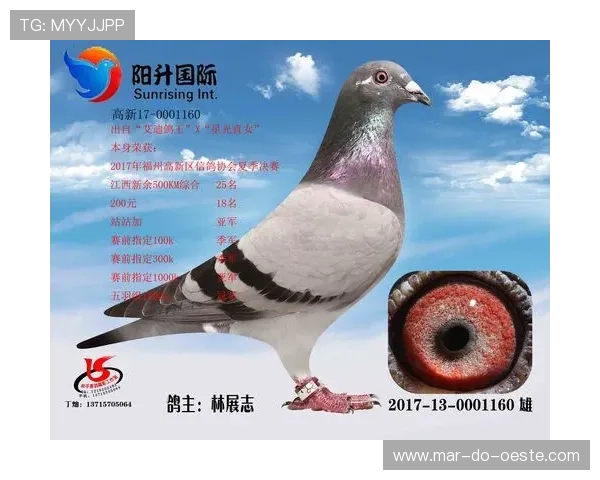 AG国际地址登录入口常见问题解答，快速解决登录遇到的各种麻烦